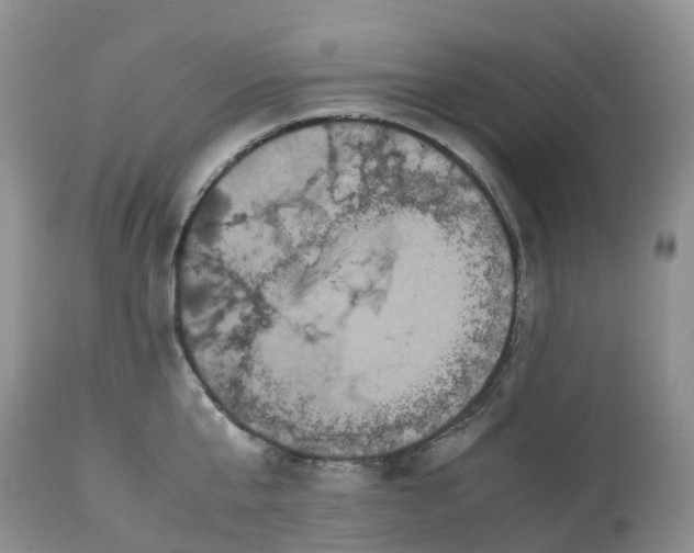 X0000113110807200909111114