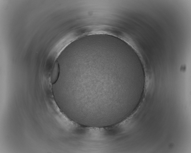 X0000113110809200909111114