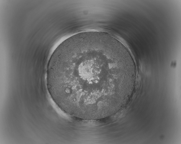 X0000113110811200909111114