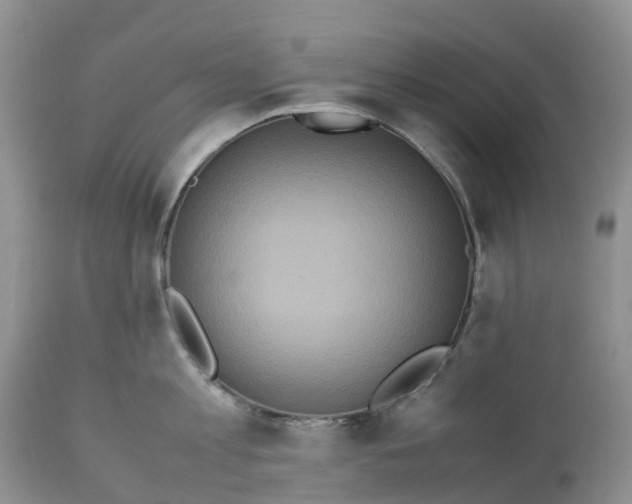 X0000113110813200909111114