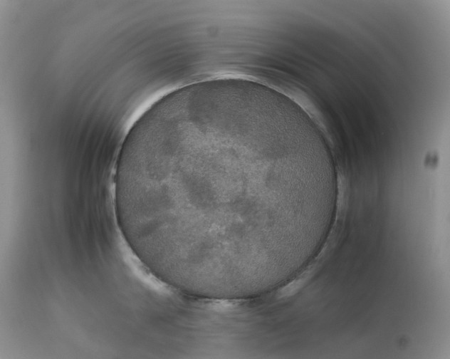 X0000113110814200909111114