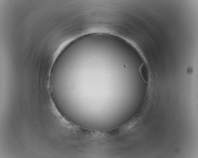 X0000113110815200909111113