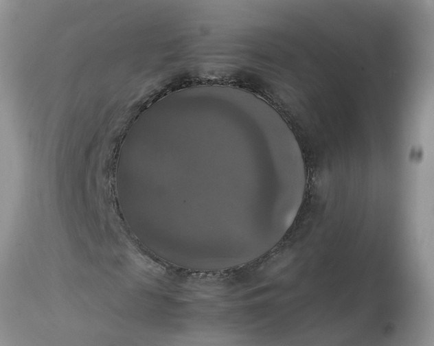 X0000113110817200909111113