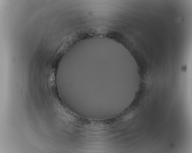 X0000113110818200909111113