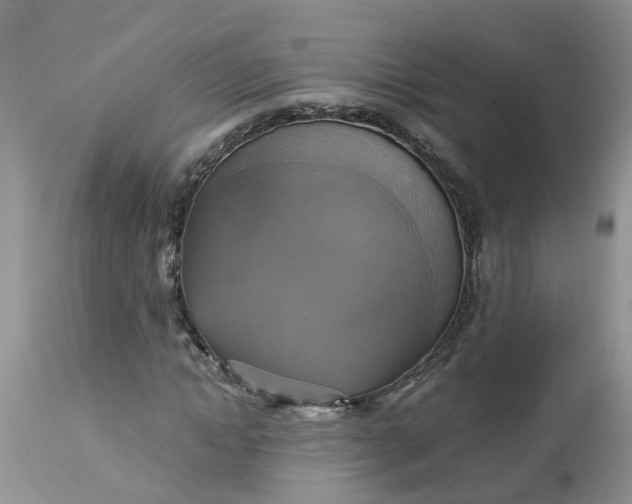 X0000113110822200909111113