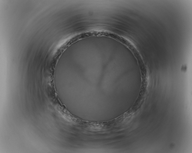 X0000113110823200909111113