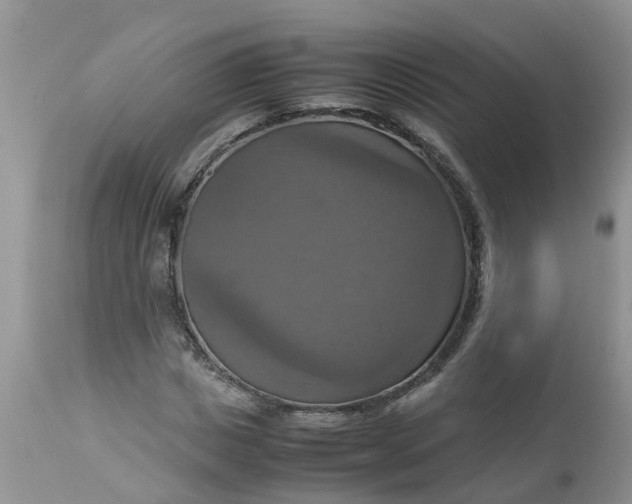 X0000113110825200909111113