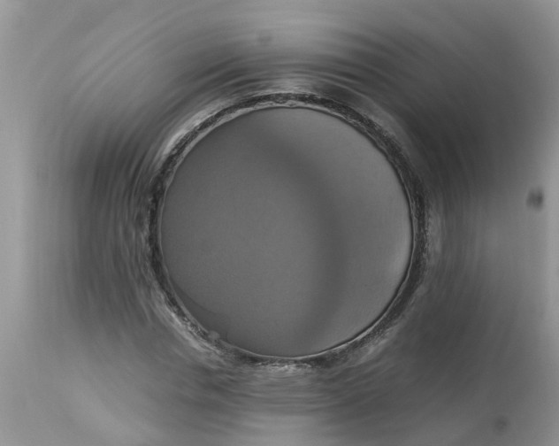 X0000113110826200909111113