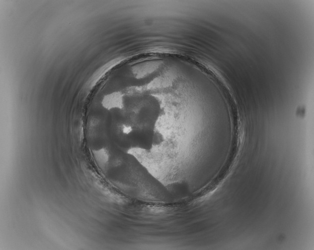 X0000113110829200909111113