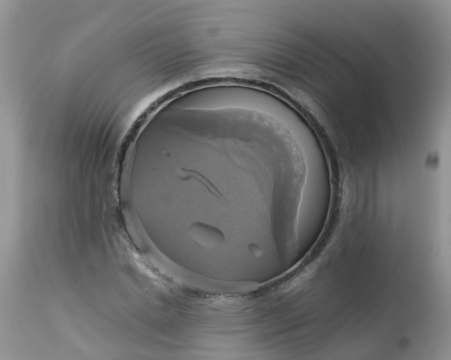 X0000113110830200909111113