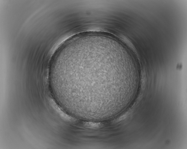 X0000113110831200909111113