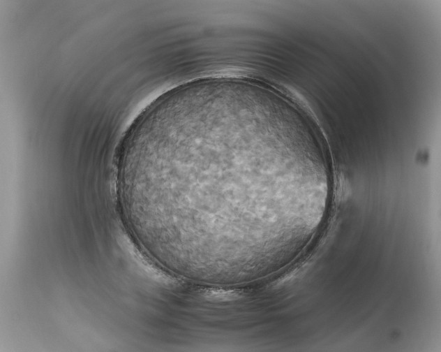 X0000113110835200909111113