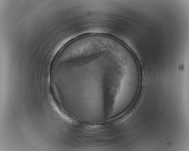 X0000113110837200909111113