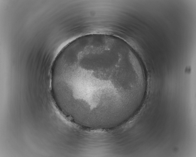 X0000113110838200909111113