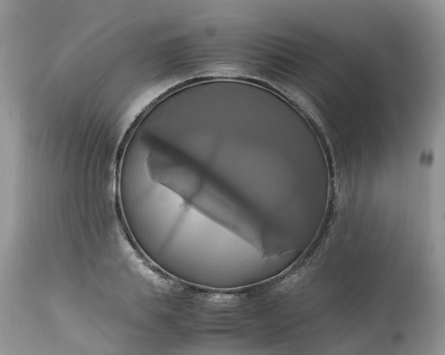 X0000113110839200909111113