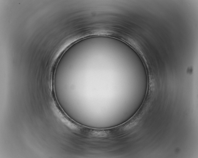 X0000113110843200909111113