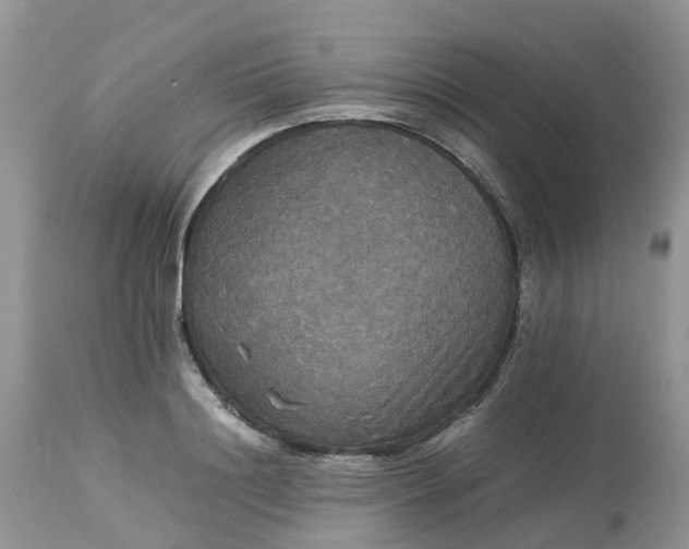 X0000113110844200909111113