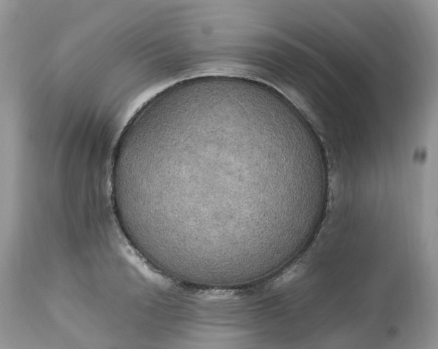X0000113110846200909111113
