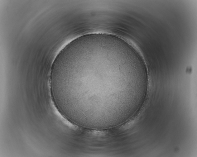 X0000113110847200909111113