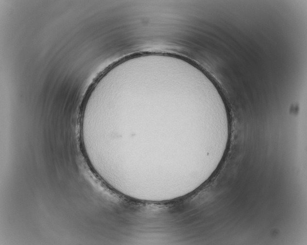 X0000113110848200909111113