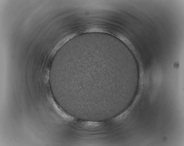 X0000113110849200909111113