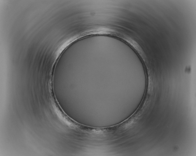 X0000113110850200909111113