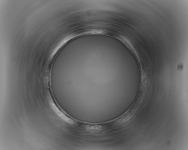 X0000113110851200909111113
