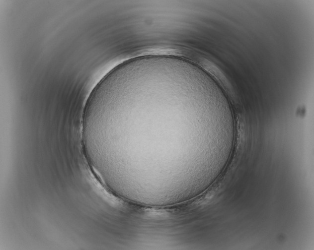 X0000113110852200909111113