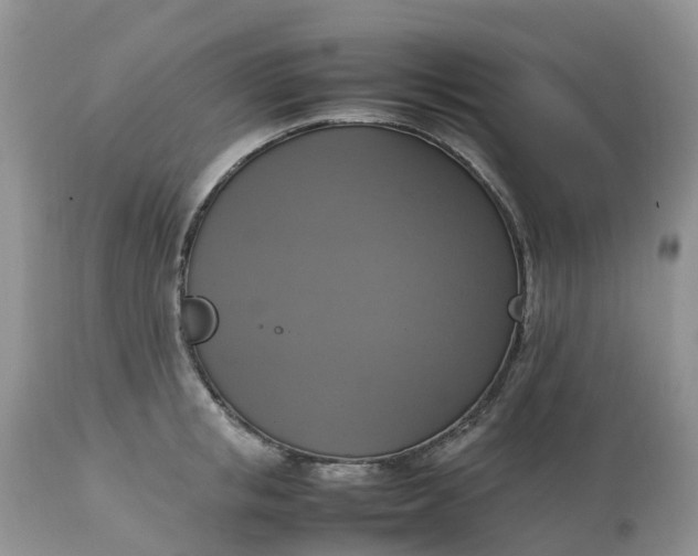 X0000113110853200909111113