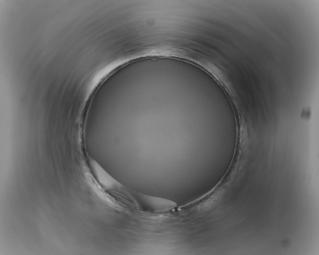 X0000113110854200909111113