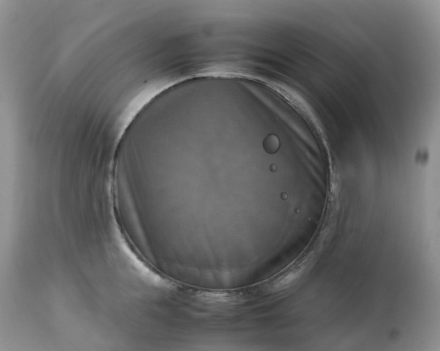 X0000113110855200909111113