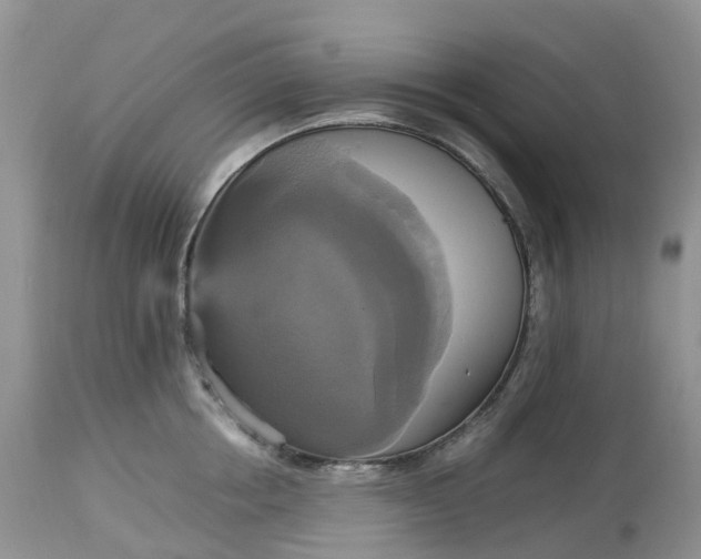 X0000113110858200909111113