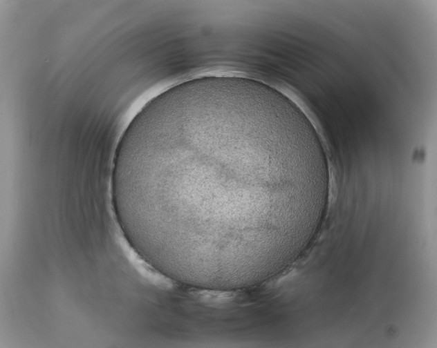 X0000113110861200909111113