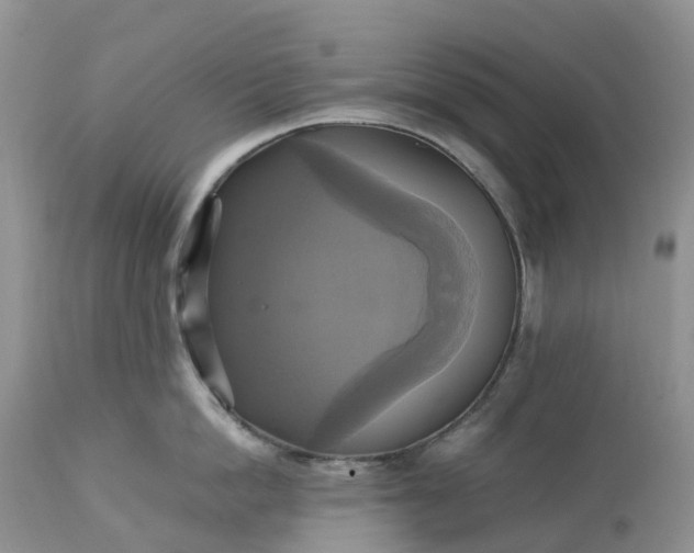 X0000113110862200909111113