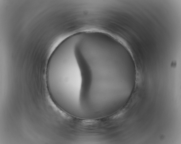 X0000113110863200909111113
