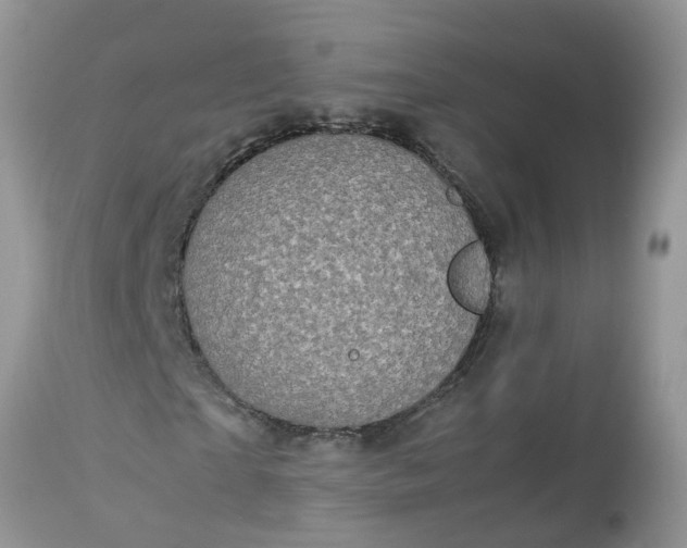 X0000113110865200909111113