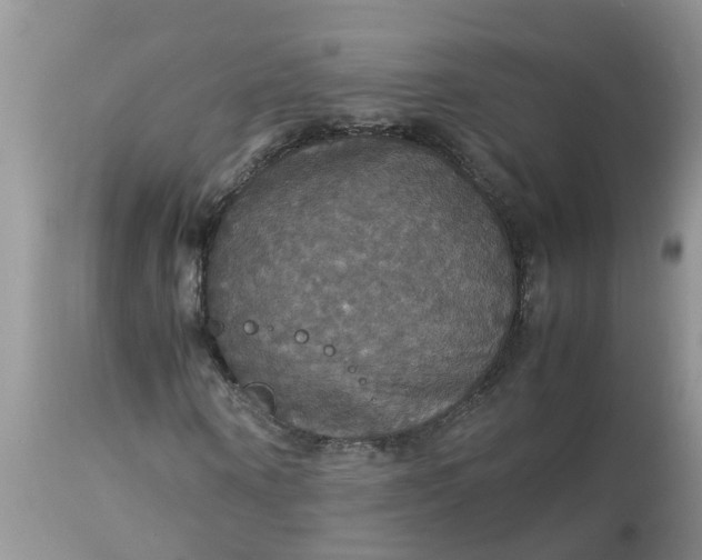 X0000113110866200909111113