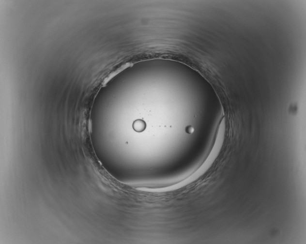X0000113110868200909111113