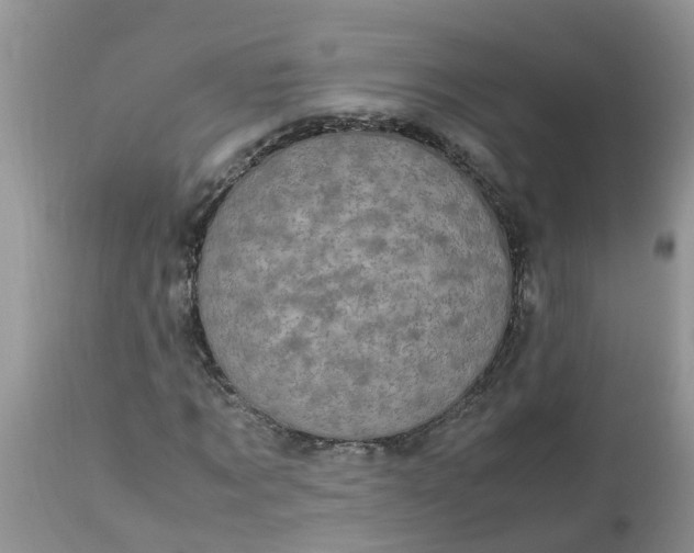 X0000113110869200909111113