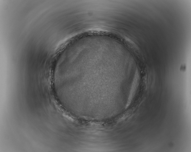 X0000113110870200909111113