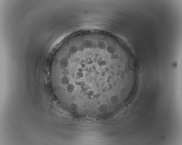 X0000113110871200909111113