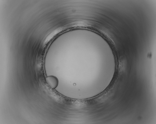 X0000113110874200909111113