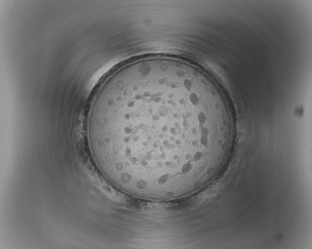 X0000113110875200909111113