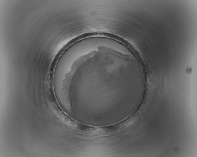 X0000113110879200909111113