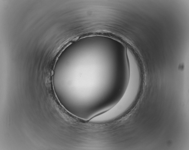 X0000113110881200909111113