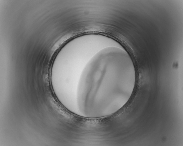 X0000113110882200909111113