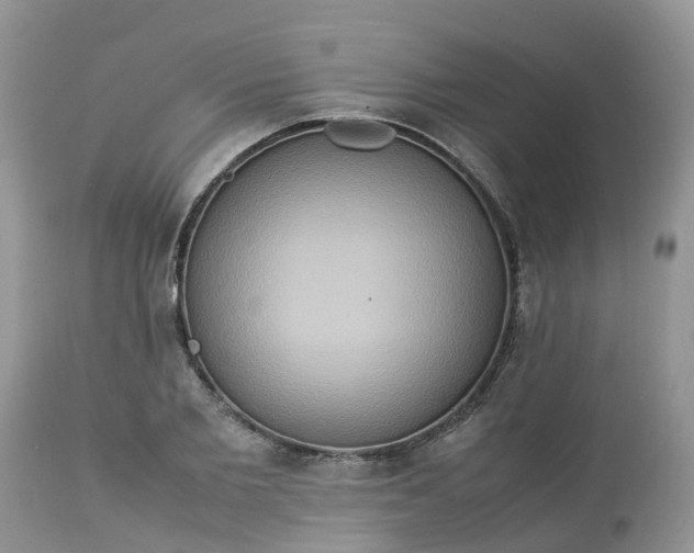 X0000113110885200909111113