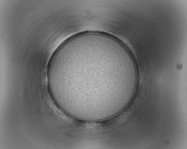 X0000113110887200909111113