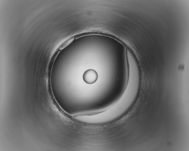 X0000113110888200909111112