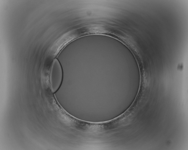 X0000113110889200909111112